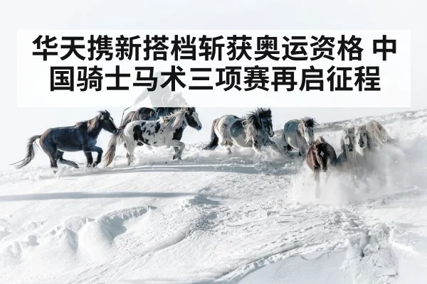 Chinese rider equestrian